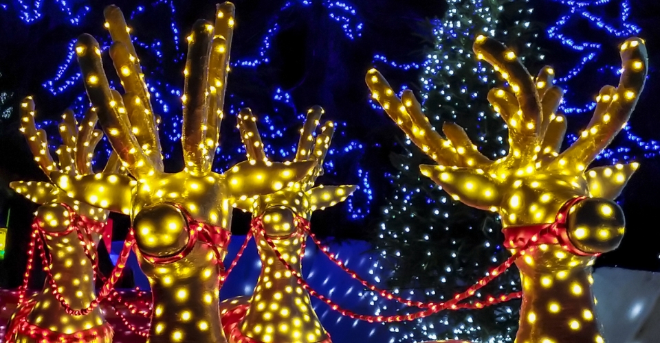 Tour di Dyker Heights per vivere la magia del Natale a NY | Allianz Global Assistance