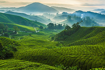 Assicurazione Sanitaria Viaggio Malesia | Allianz Global Assistance