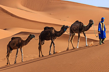 Assicurazione Sanitaria Viaggio Marocco | Allianz Global Assistance