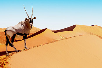 Assicurazione Sanitaria Viaggio Namibia | Allianz Global Assistance