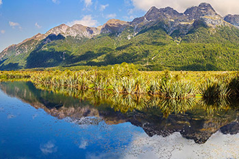 Assicurazione Sanitaria Viaggio Nuova Zelanda | Allianz Global Assistance